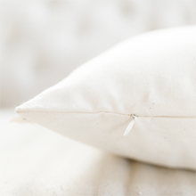 Load image into Gallery viewer, Tomato Black + White Pillow
