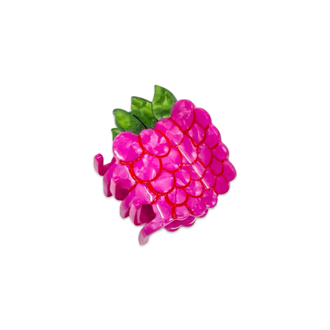 Jenny Lemons - Mini Raspberry Claw Clip