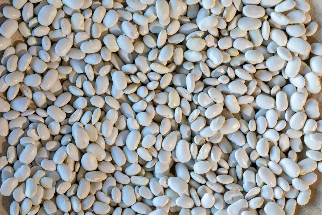 Rancho Gordo - Ayocote Blanco Beans