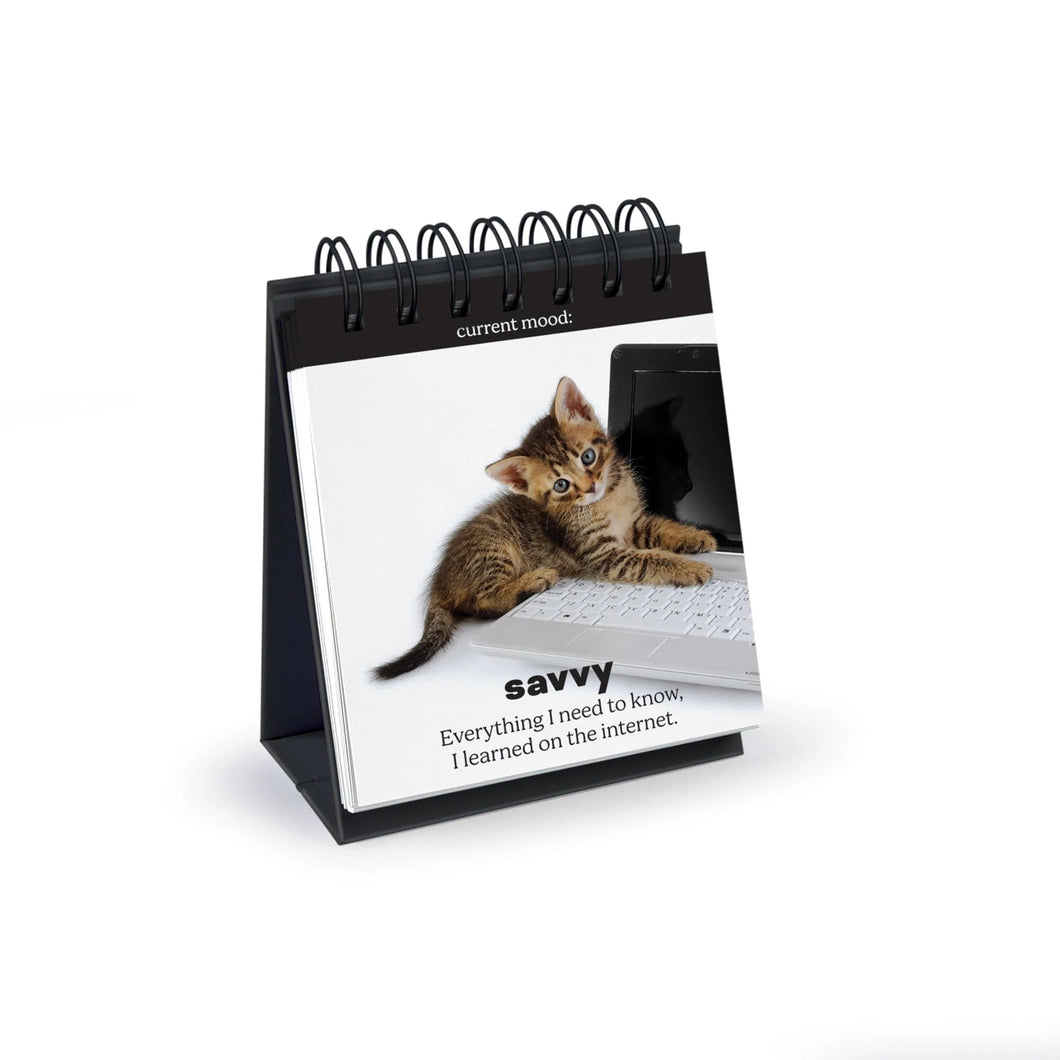 Fred - Daily Cattitudes Desktop Book