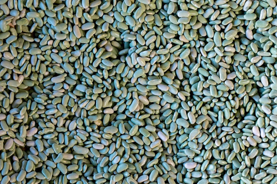 Rancho Gordo - Flageolet Beans