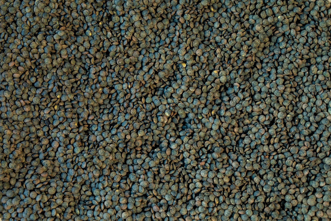 Rancho Gordo - French Style Green Lentil Beans
