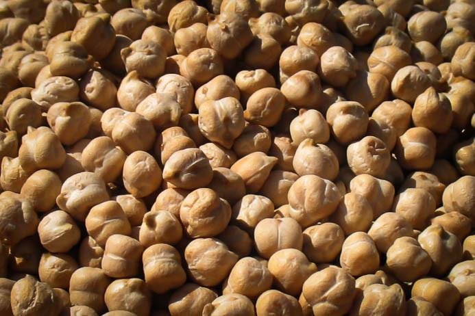 Rancho Gordo - Garbanzo Bean Chickpea