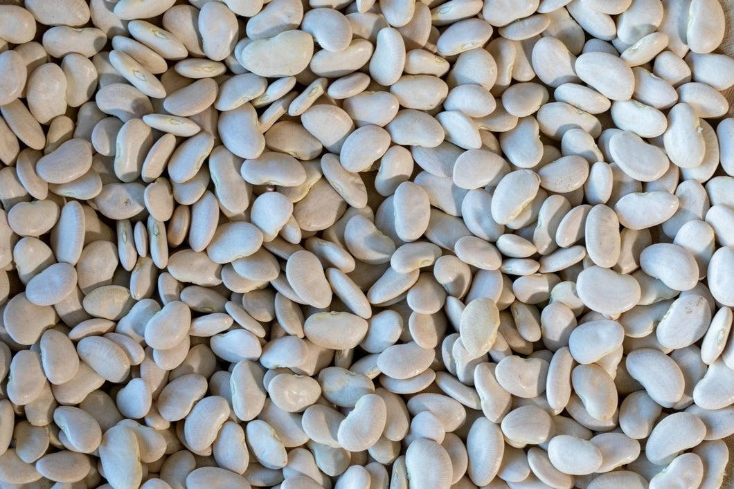 Rancho Gordo - Large White Lima Beans