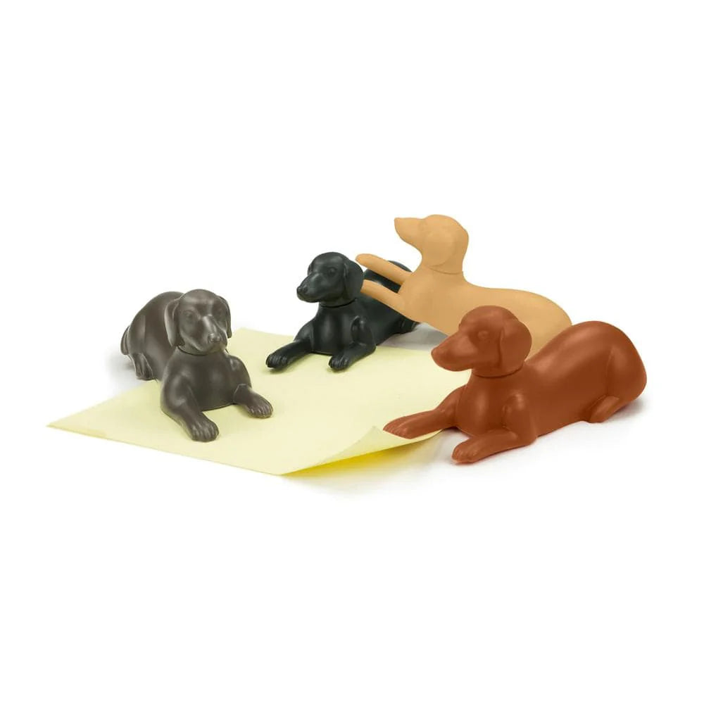 Fred - Magnetic Pups