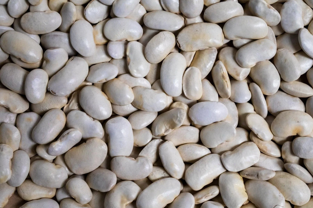 Rancho Gordo - Royal Corona Beans