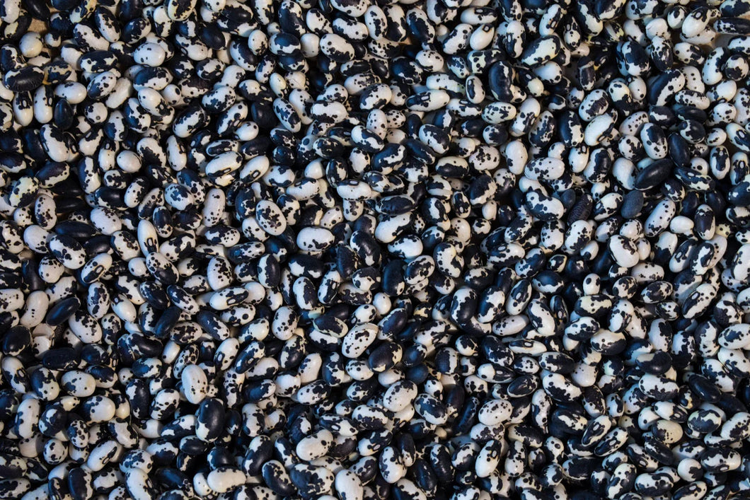 Rancho Gordo - Vaquero Beans